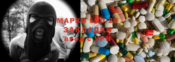 крисы Елабуга