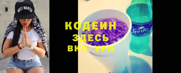 крисы Елабуга