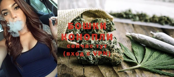крисы Елабуга