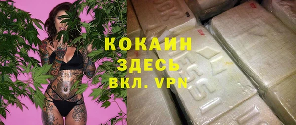 ALPHA PVP Елизово