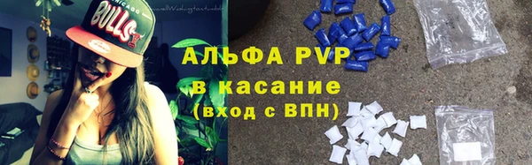 крисы Елабуга