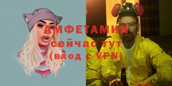 крисы Елабуга
