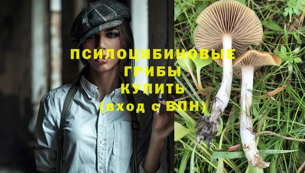 MESCALINE Ельня